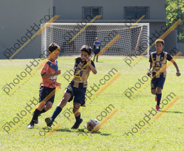 Campeonato Novos Talentos em Ouro Fino
