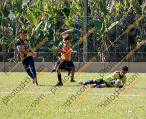 Campeonato Novos Talentos em Ouro Fino