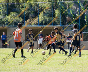 Campeonato Novos Talentos em Ouro Fino