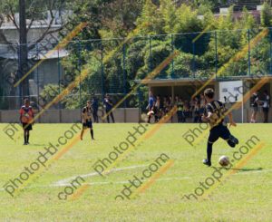 Campeonato Novos Talentos em Ouro Fino