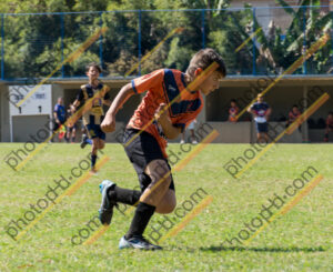 Campeonato Novos Talentos em Ouro Fino
