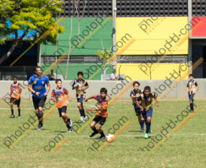 Campeonato Novos Talentos em Ouro Fino