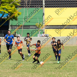 Campeonato Novos Talentos em Ouro Fino