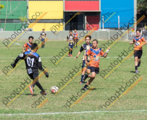 Campeonato Novos Talentos em Ouro Fino