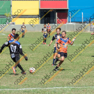 Campeonato Novos Talentos em Ouro Fino