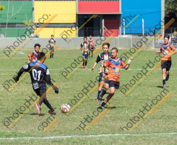 Campeonato Novos Talentos em Ouro Fino