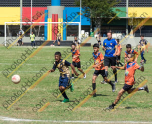 Campeonato Novos Talentos em Ouro Fino