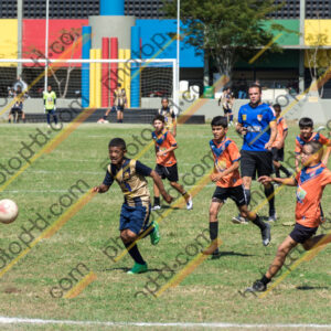 Campeonato Novos Talentos em Ouro Fino