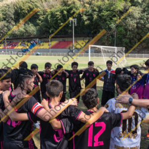 Campeonato Novos Talentos em Ouro Fino