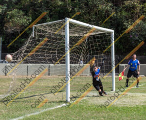 Campeonato Novos Talentos em Ouro Fino