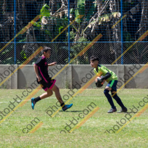 Campeonato Novos Talentos em Ouro Fino