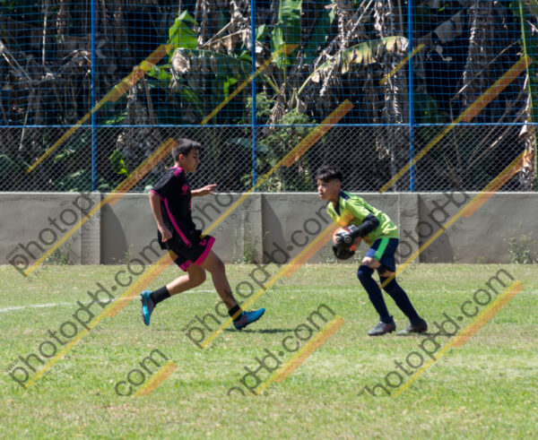 Campeonato Novos Talentos em Ouro Fino