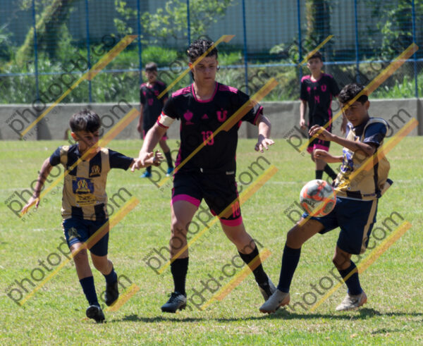 Campeonato Novos Talentos em Ouro Fino