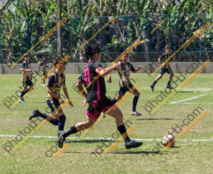 Campeonato Novos Talentos em Ouro Fino
