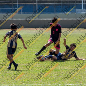 Campeonato Novos Talentos em Ouro Fino