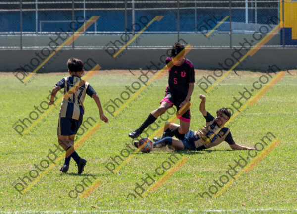 Campeonato Novos Talentos em Ouro Fino