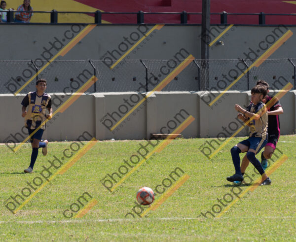 Campeonato Novos Talentos em Ouro Fino