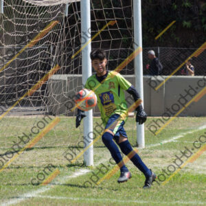 Campeonato Novos Talentos em Ouro Fino