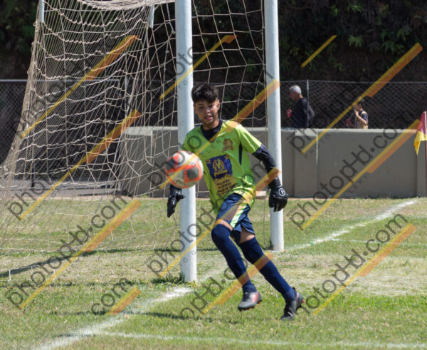 Campeonato Novos Talentos em Ouro Fino