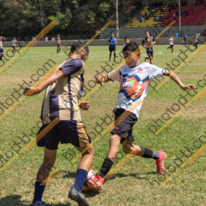 Campeonato Novos Talentos em Ouro Fino
