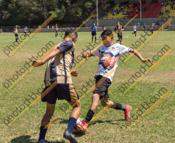 Campeonato Novos Talentos em Ouro Fino