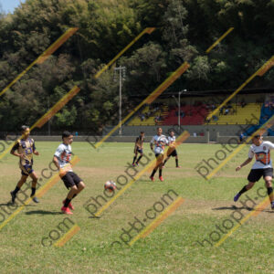 Campeonato Novos Talentos em Ouro Fino
