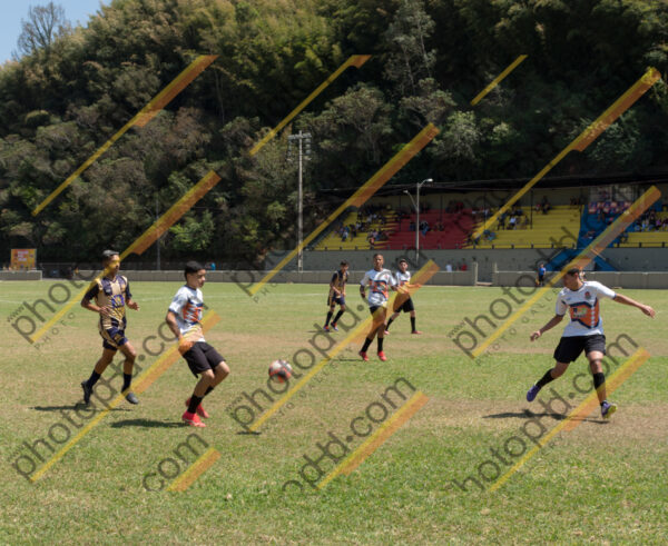 Campeonato Novos Talentos em Ouro Fino