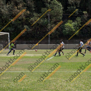 Campeonato Novos Talentos em Ouro Fino