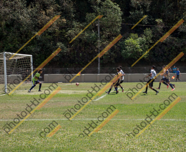 Campeonato Novos Talentos em Ouro Fino