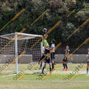 Campeonato Novos Talentos em Ouro Fino
