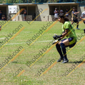 Campeonato Novos Talentos em Ouro Fino