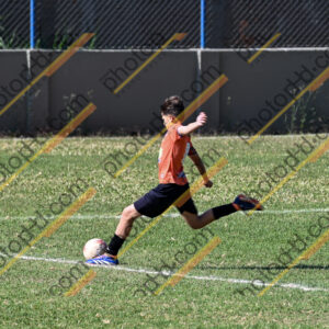 Campeonato Novos Talentos em Ouro Fino