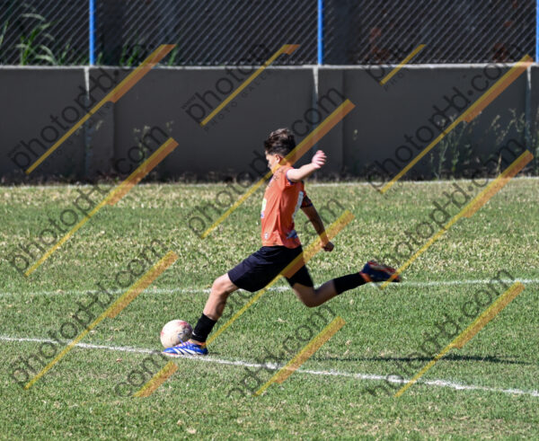 Campeonato Novos Talentos em Ouro Fino
