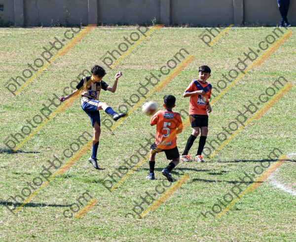 Campeonato Novos Talentos em Ouro Fino