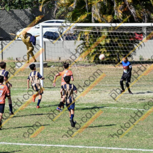 Campeonato Novos Talentos em Ouro Fino