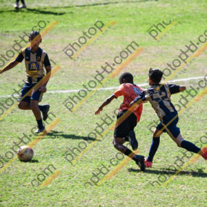 Campeonato Novos Talentos em Ouro Fino