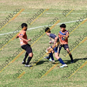 Campeonato Novos Talentos em Ouro Fino