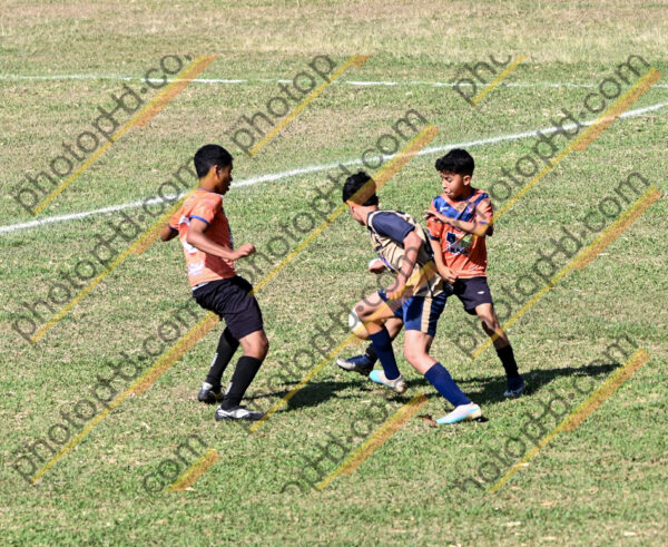 Campeonato Novos Talentos em Ouro Fino