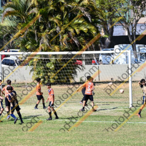 Campeonato Novos Talentos em Ouro Fino