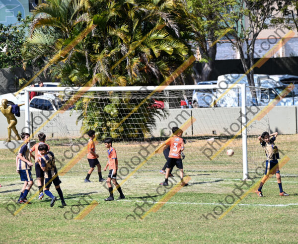 Campeonato Novos Talentos em Ouro Fino