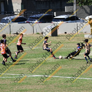 Campeonato Novos Talentos em Ouro Fino
