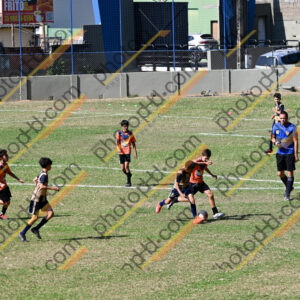 Campeonato Novos Talentos em Ouro Fino