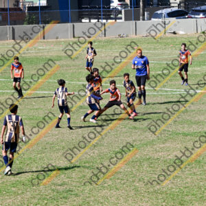 Campeonato Novos Talentos em Ouro Fino
