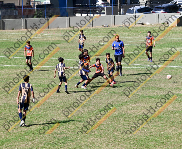 Campeonato Novos Talentos em Ouro Fino
