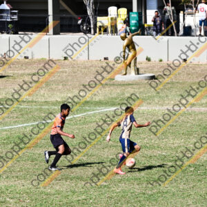 Campeonato Novos Talentos em Ouro Fino