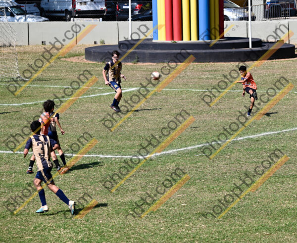 Campeonato Novos Talentos em Ouro Fino