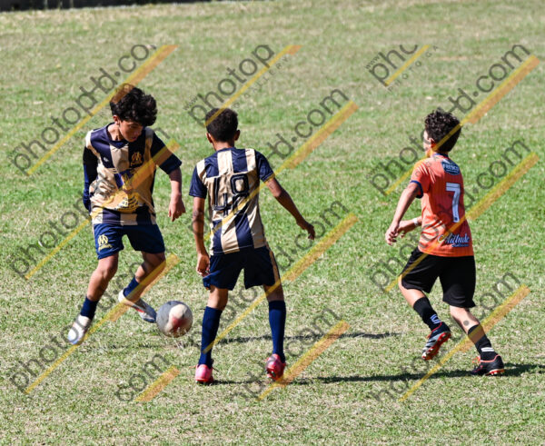 Campeonato Novos Talentos em Ouro Fino