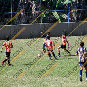 Campeonato Novos Talentos em Ouro Fino