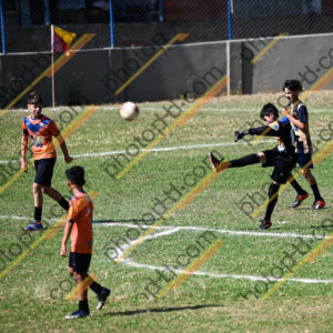 Campeonato Novos Talentos em Ouro Fino