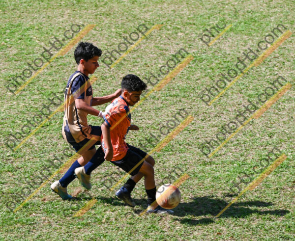 Campeonato Novos Talentos em Ouro Fino